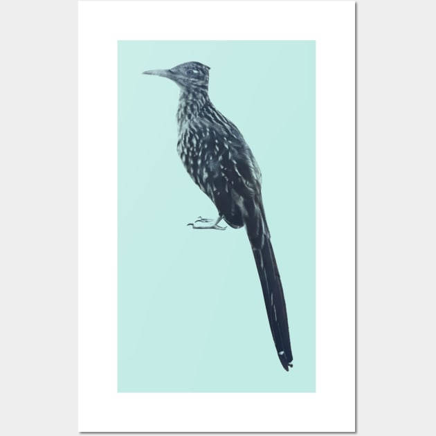 Roadrunner Sighting Wall Art by hannahjgb